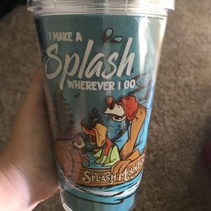 Splash Mountain Tumbler Cup